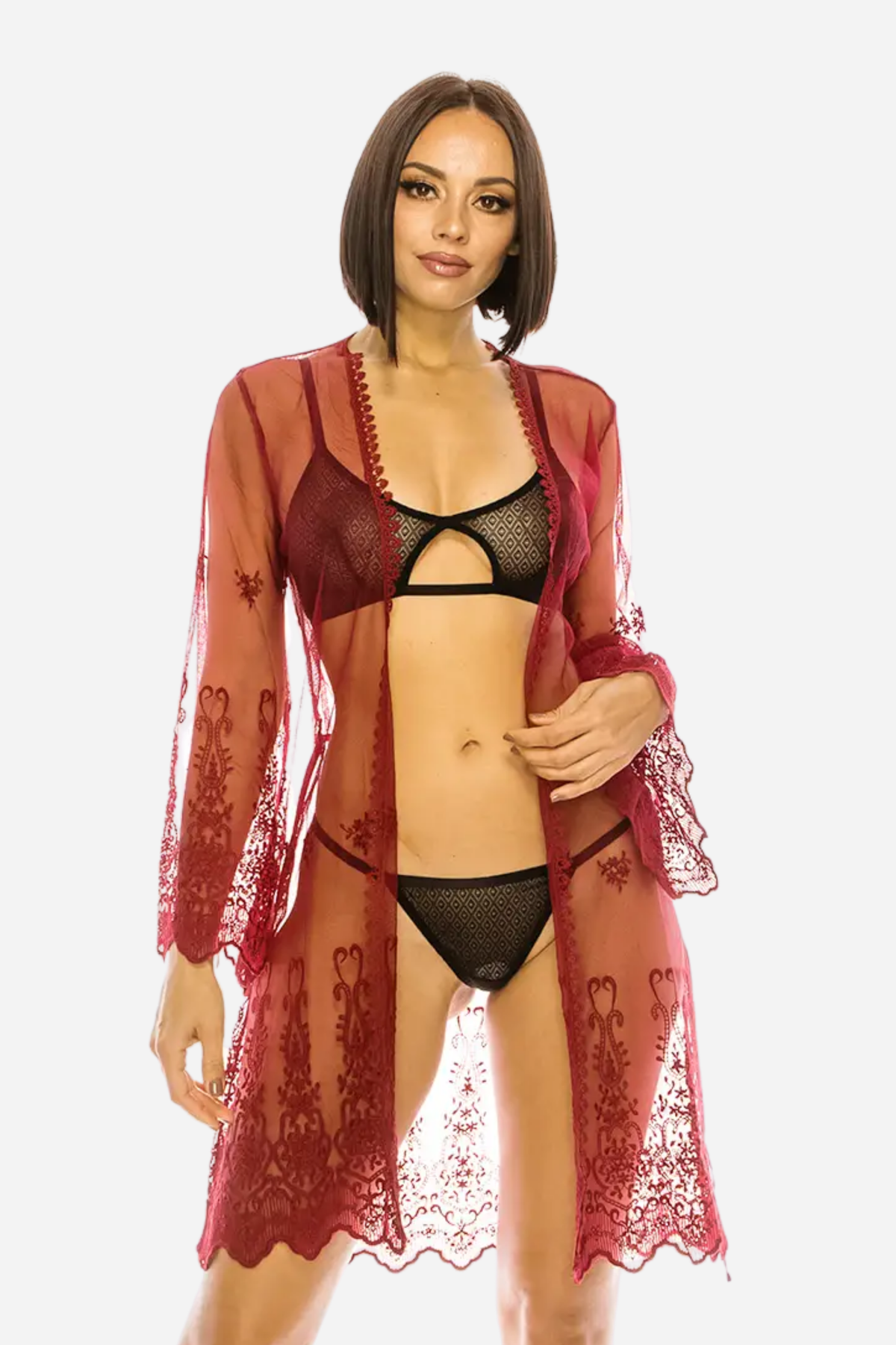 You Mean the World Mesh Embroidery Robe in Crimson