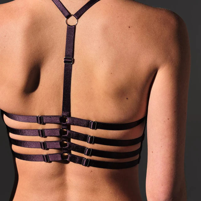 The Sorceress Embroidered Bralette in Cordial