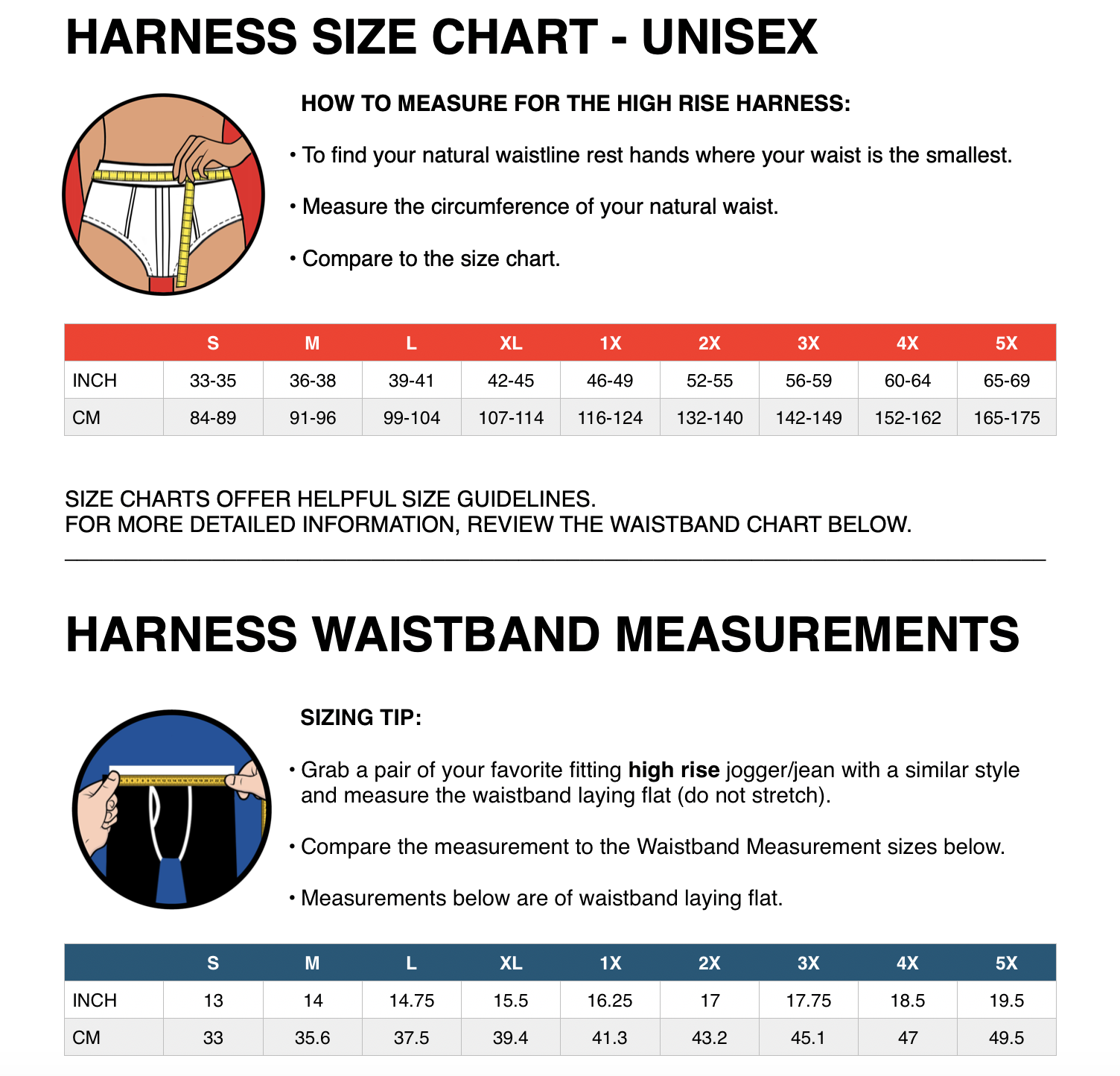 .RodeOH 2.0 Panty Harness in Black