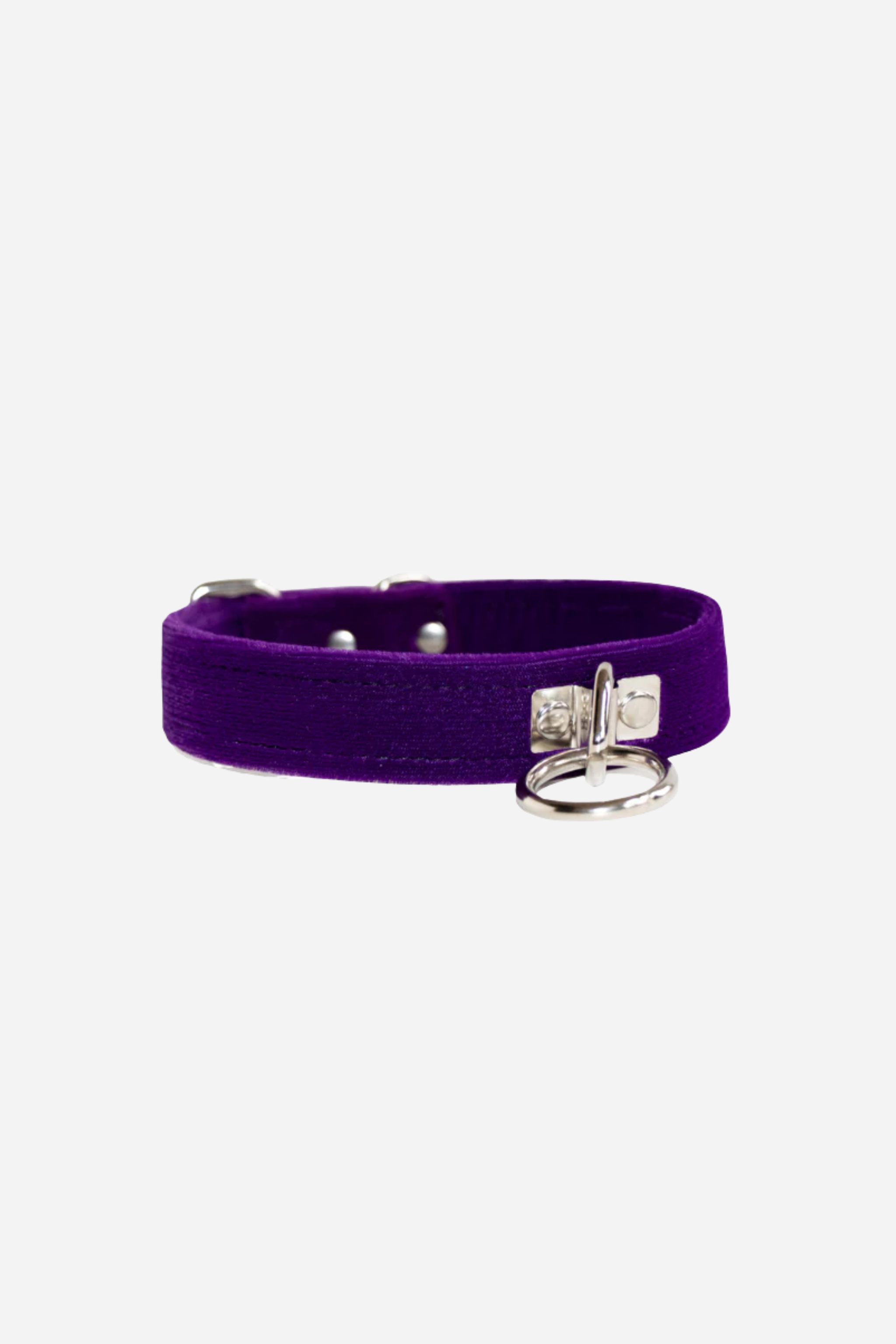 Caress Velvet Collar in Royal Purple