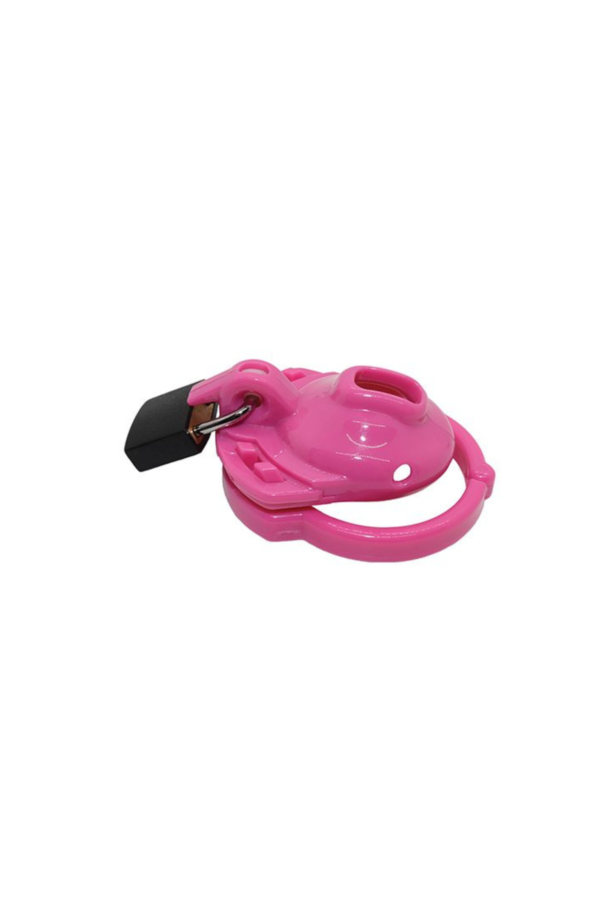 Locked In Lust The Clitty Chastity Cage