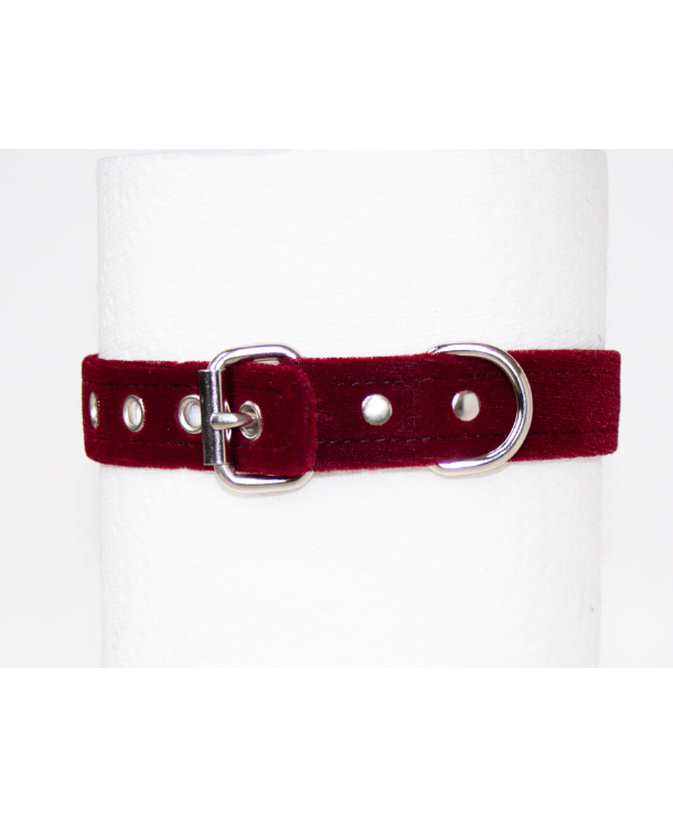 fastened buckle closure on a red fetish collar
