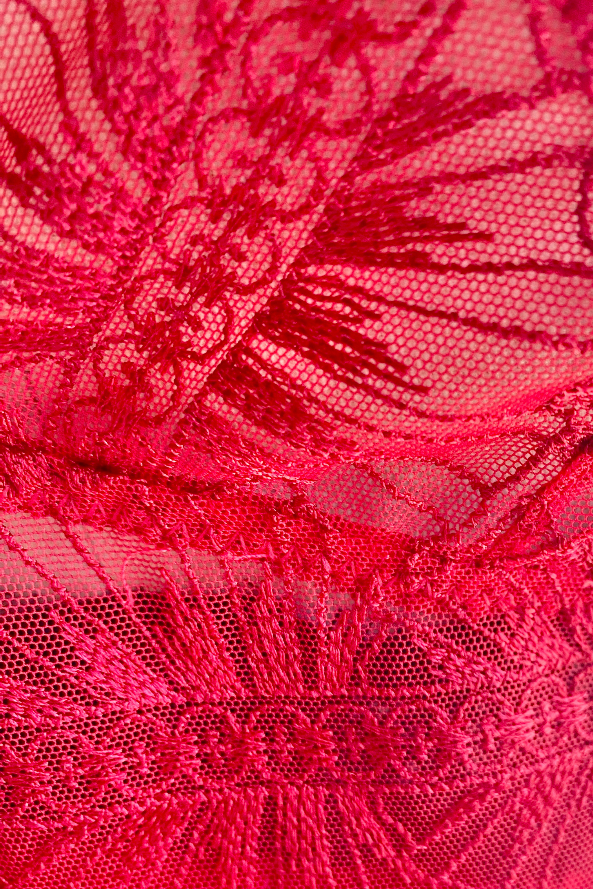 Kilo Brava Embroidery G-String in Scarlett Florals
