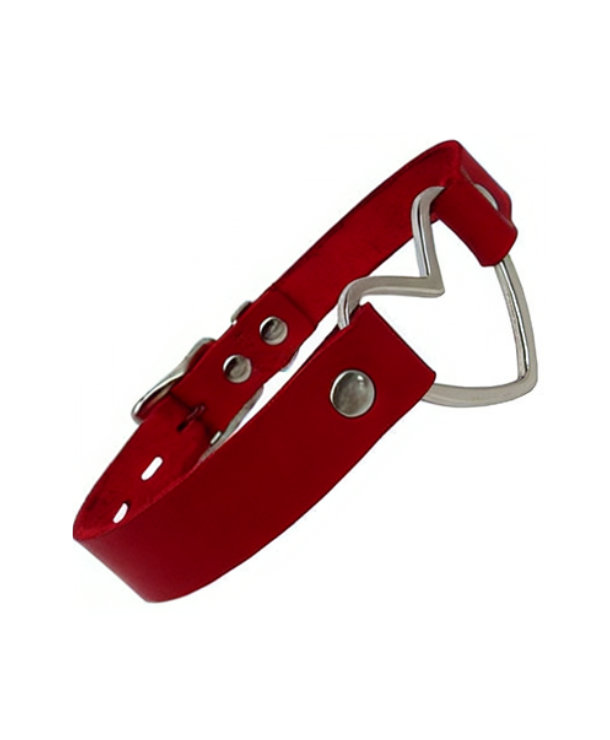 My Heart is Yours Garment Leather Collar in Burgundy