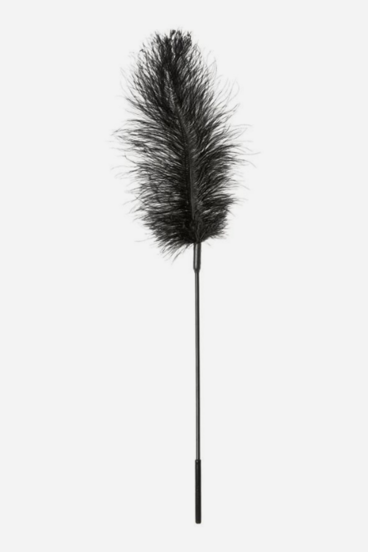 Black ostrich feather body tickler standing upright, with a full fluffy plume on top of a long thin black stick and a ribbed black grip at the base.