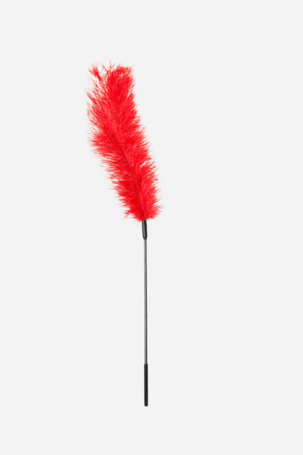 Ostrich feather body tickler in red, a full plume of soft red feathers on a long slim black handle, shown at an angle on a plain background.