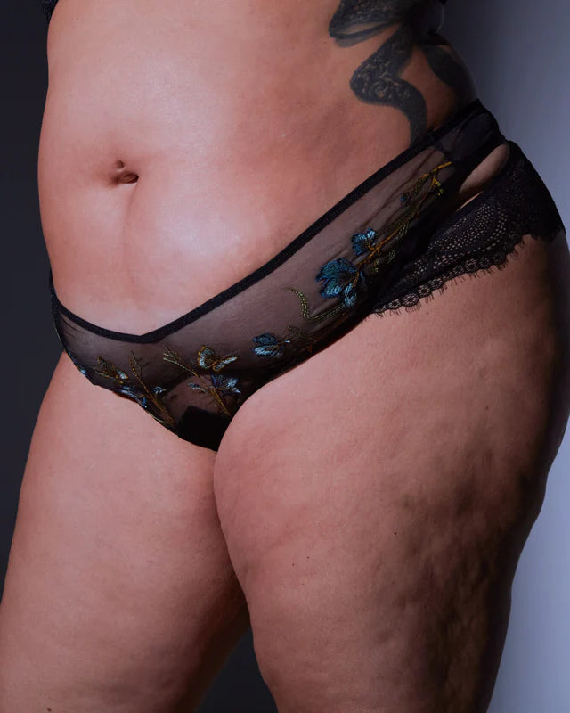 Stars Bloom Too Aster Embroidered Panty
