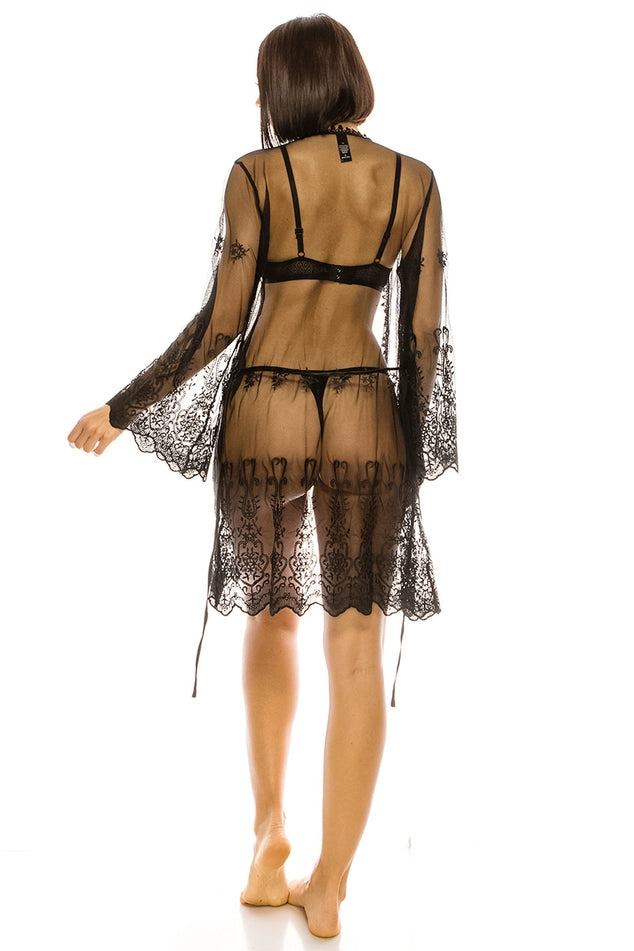 You Mean the World Mesh Embroidery Robe in Black