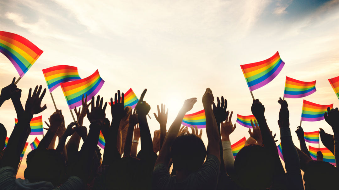 Silhouette of hands raised to sky with Pride flags