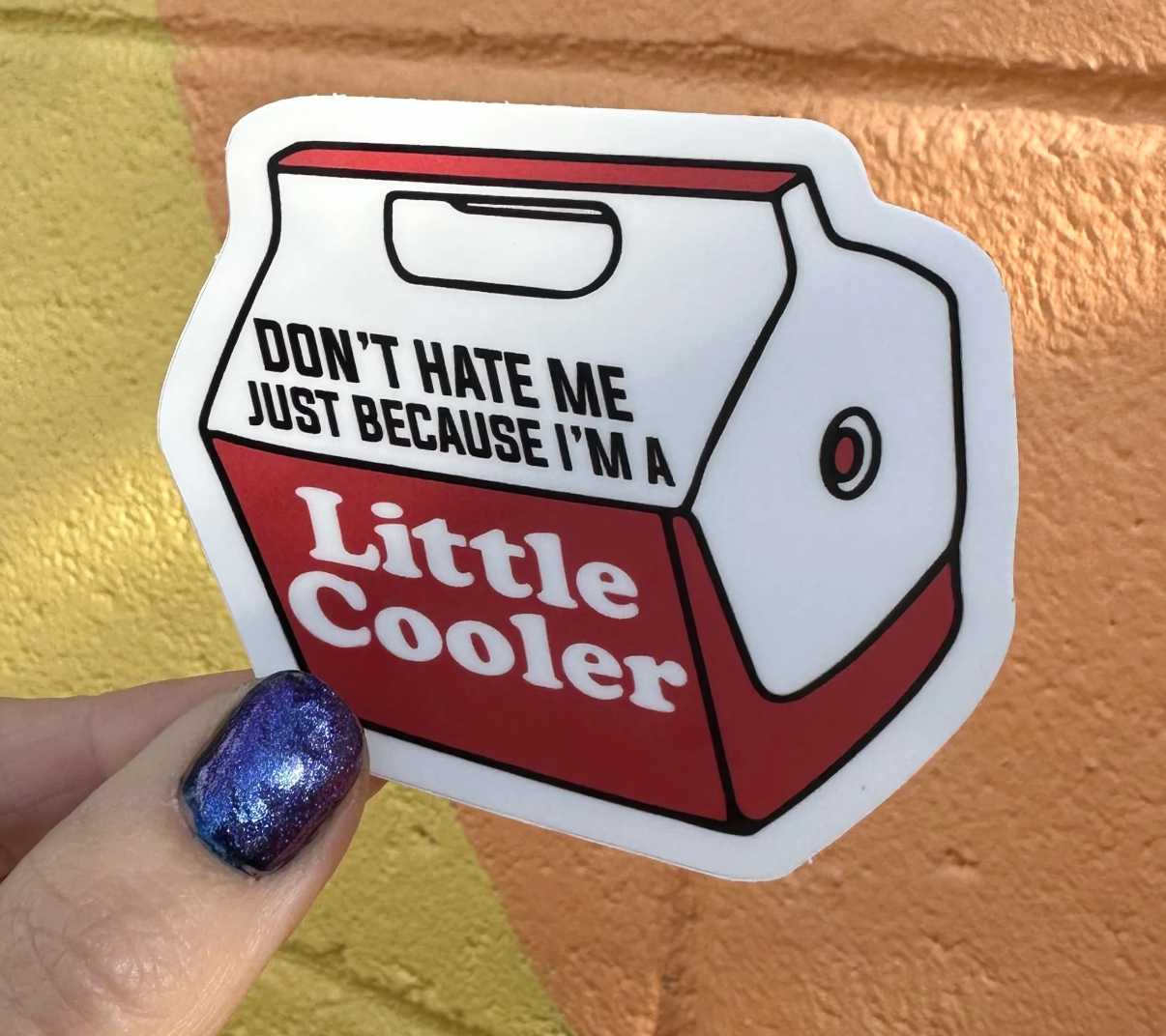 Don't Hate Me Just Because I'm A Little Cooler Sticker
