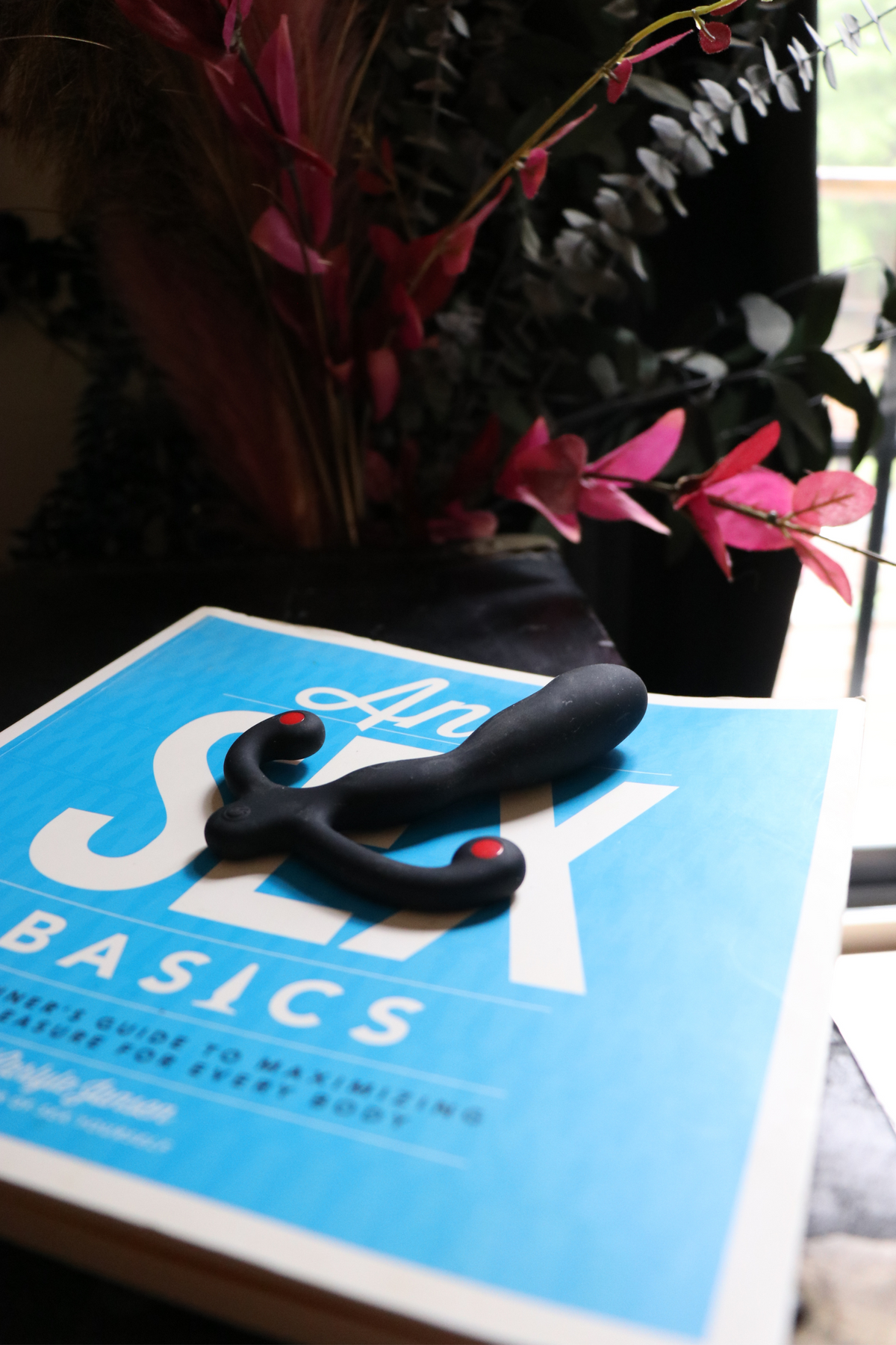 The Aneros Helix SYN V resting on a blue Anal Sex Basics book, with a dark leafed plant and window light filling the background.