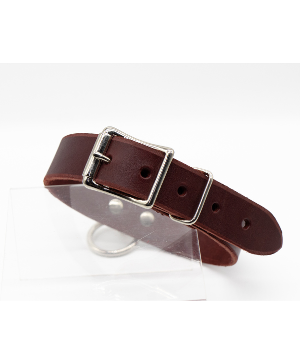 slightly angled view of the back buckle on the Anything But Basic O-Ring Collar in Burgundy