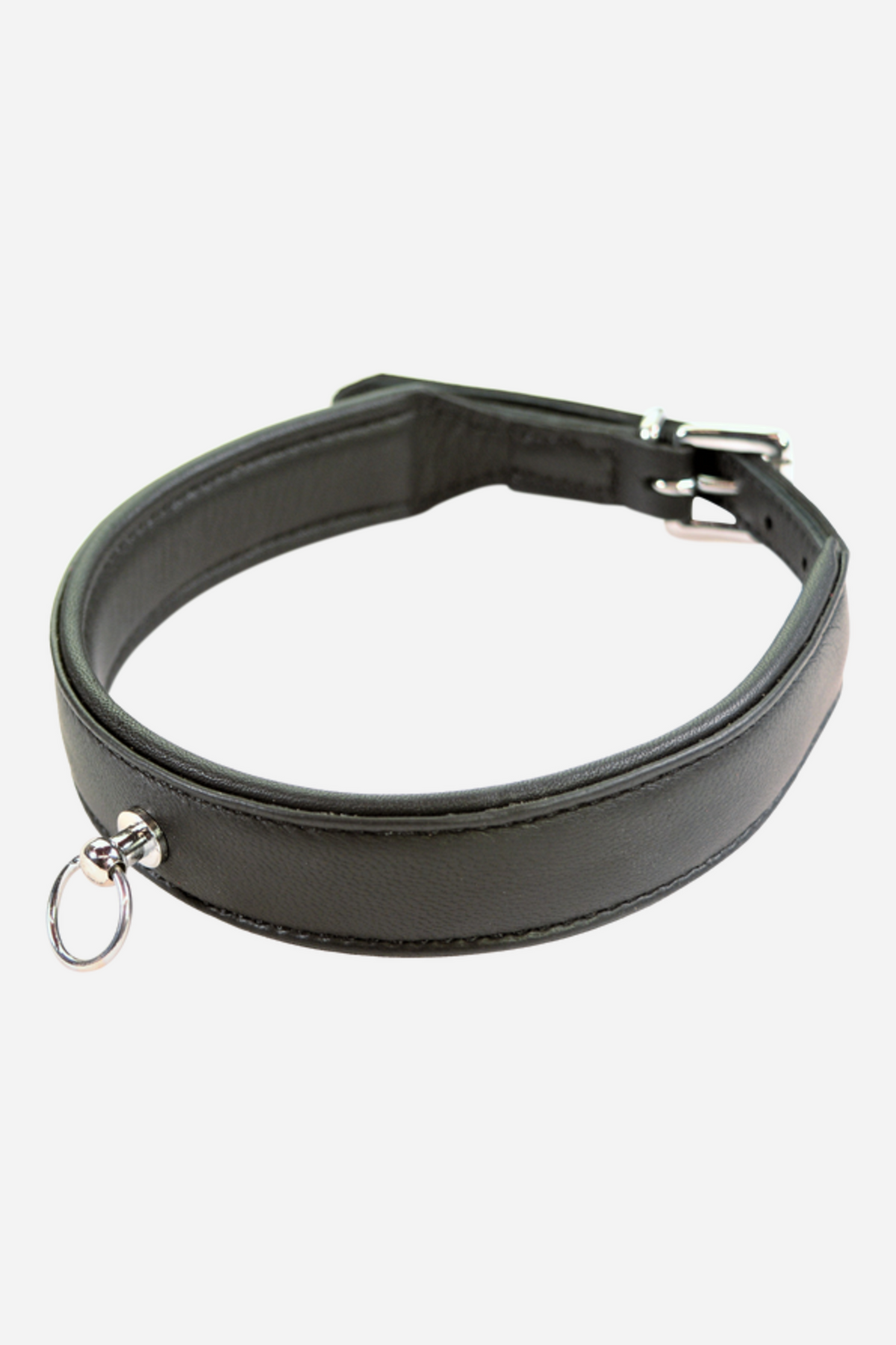 Black soft leather collar with a padded stitched band, a silver roller buckle and a small silver O-ring riveted to the front for clipping on a leash.