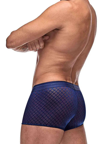 white model turns away from the camera, close up on the butt area. model is wearing navy blue men's lingerie that is slightly see through with diamond pattern in the fabric
