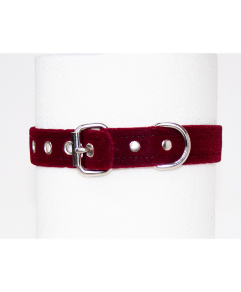 fastened buckle closure on a red fetish collar 