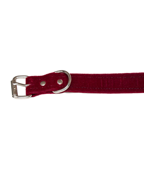 close up of the belt style buckle finish in chrome. the closure for the vegan bdsm collar in burgundy velvet