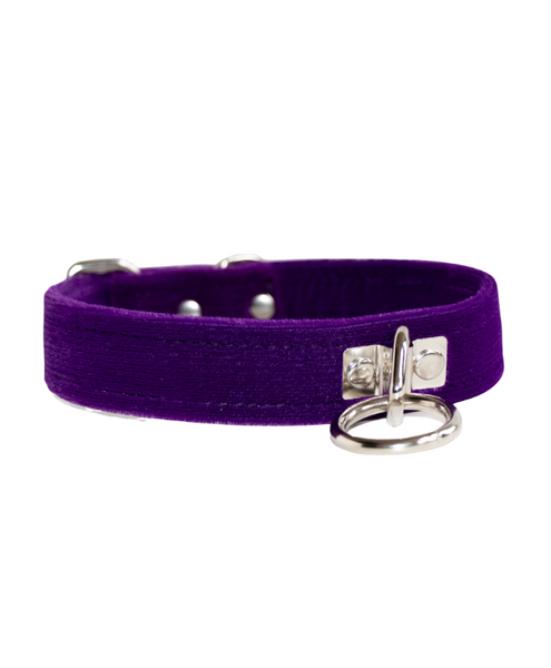 front view of a soft, purple velvet fetish collar for humans- has a single o-ring in front