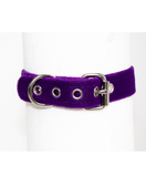 fastened buckle closure on a purple fetish collar