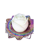 rose shaped white wax play candle on rainbow dish