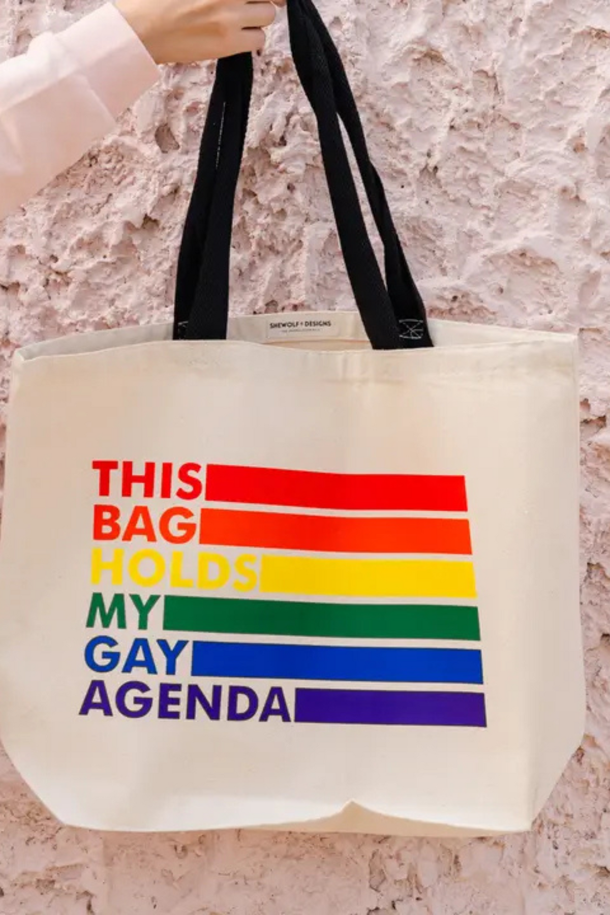 Hand holding a natural canvas tote with black handles against a pink textured wall, printed This Bag Holds My Gay Agenda beside rainbow stripes.