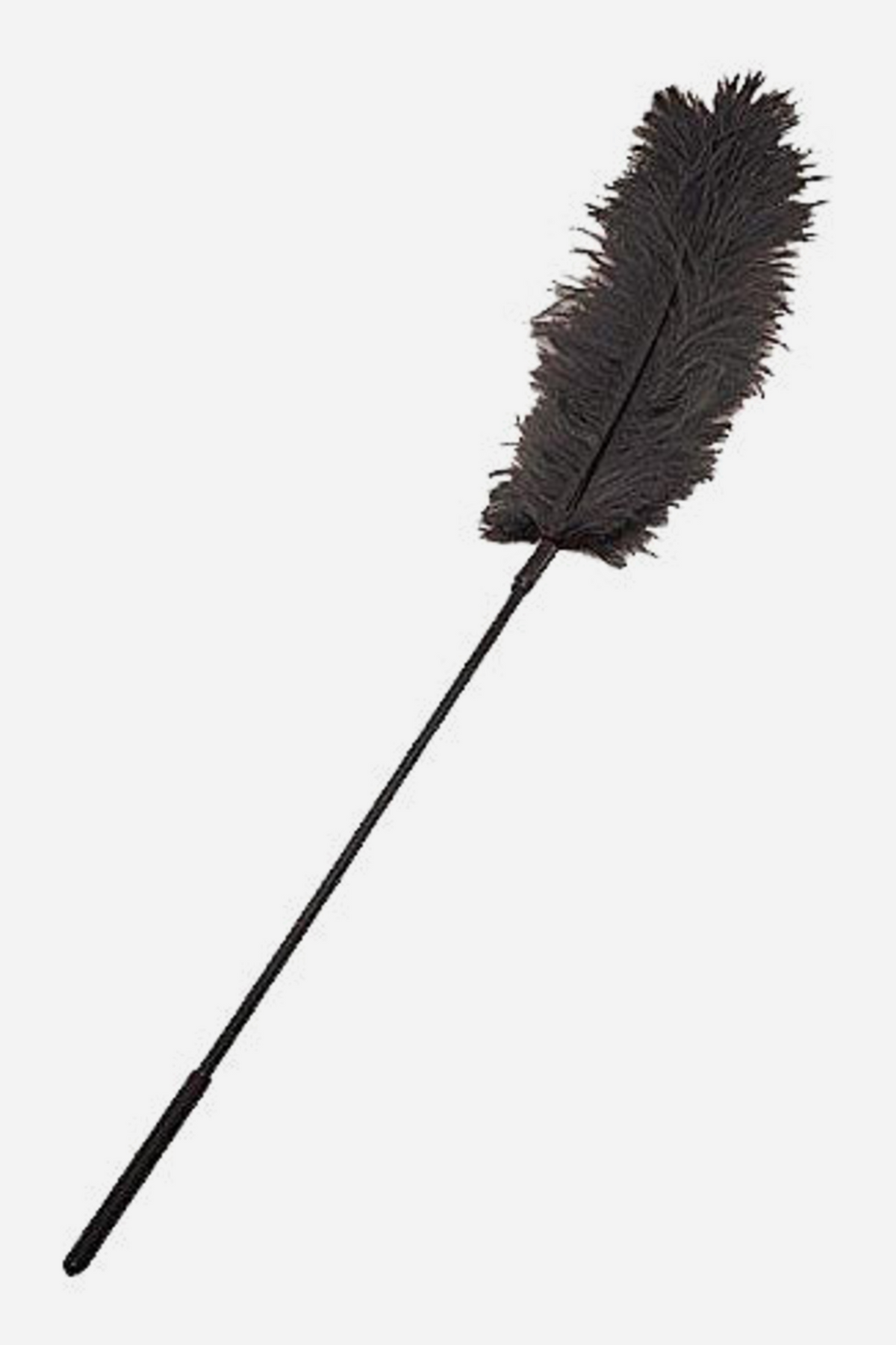 Black ostrich feather tickler shown at a diagonal angle, the soft feathery plume at the top right and the slim black handle running down to the lower left.