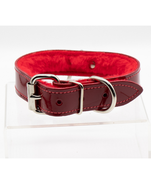 back view of the collar showing the belt-style buckle and shiny red patent leather on the bdsm collar. the fur inside the collar is a brighter red than the shiny exterior