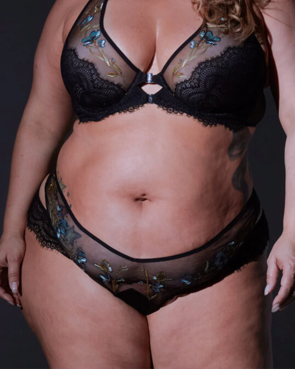 Stars Bloom Too Aster Embroidered Panty