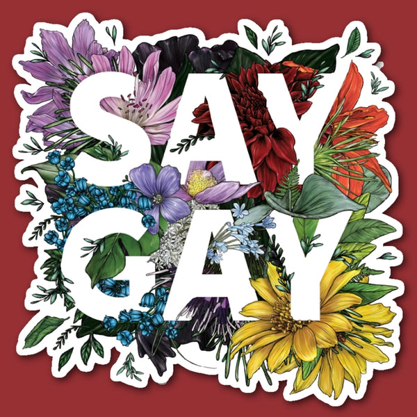 Say Gay Sticker by Transpainter