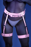 All Strapped In Waist & Leg Harness in Pink