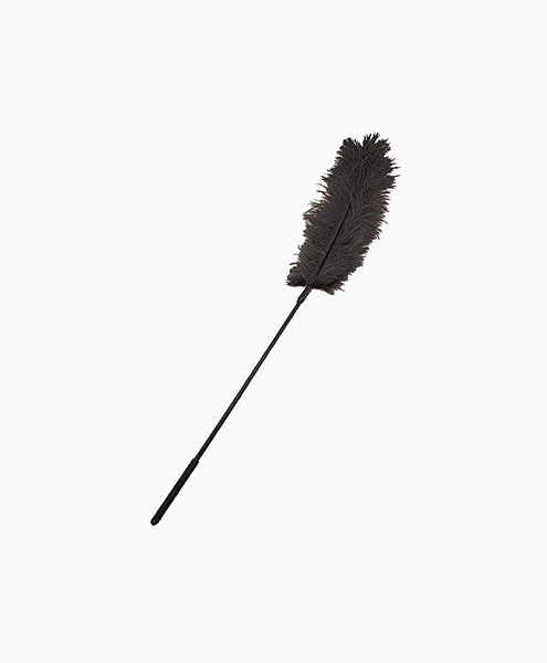 Ostrich Feather Body Tickler in Black